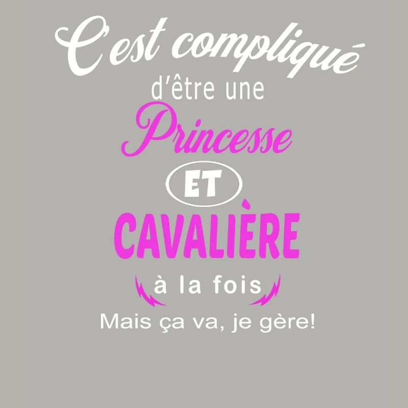 c'est compliqué princesse et cavalière