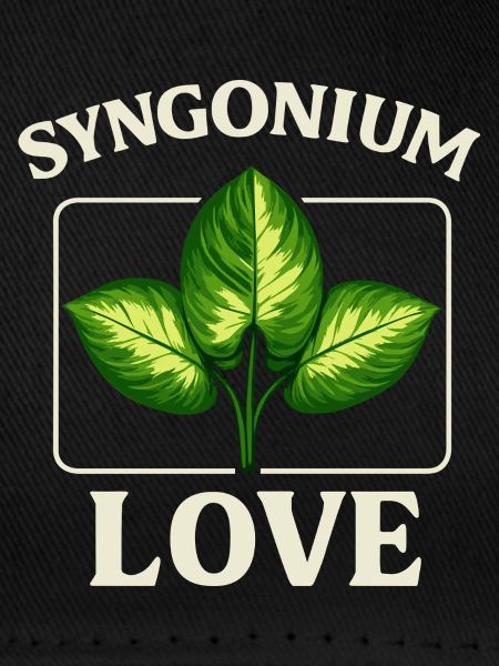 Syngonium Love