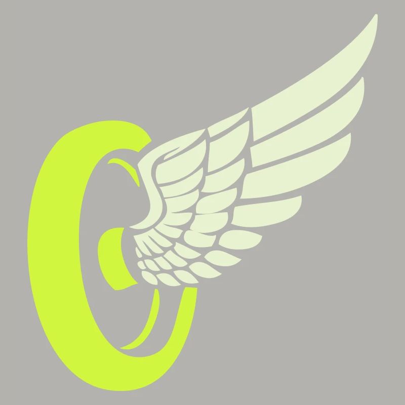 Aile de roue