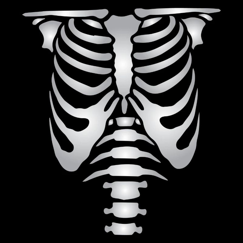 Human skeleton bones torso