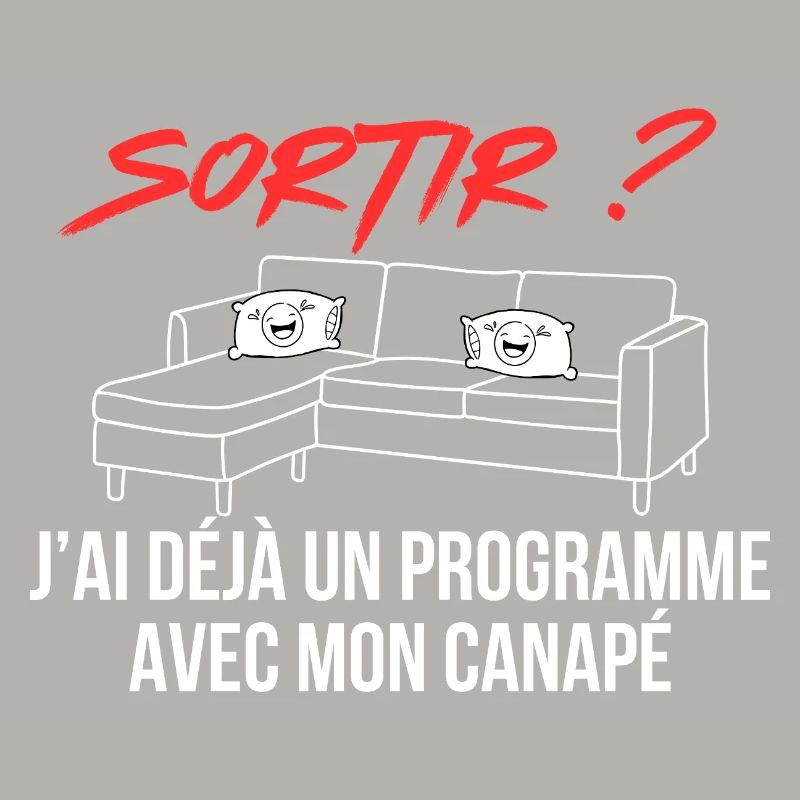 Ich habe bereits ein Programm mit meinem Sofa