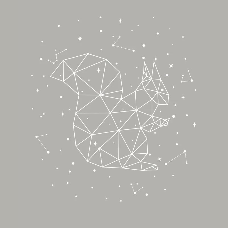 Constellation Squirrel Constellation Squirrel