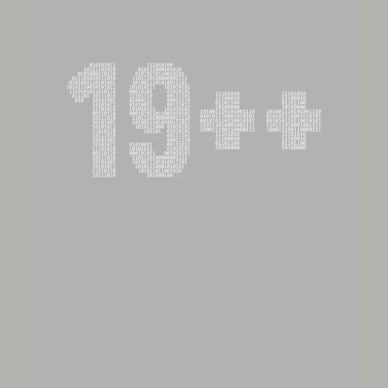 19++ Programmierer Softwareingenieur Coder 20.