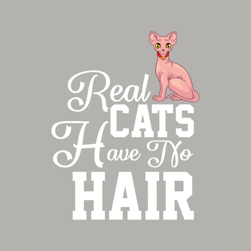 Sphynx Cat 1