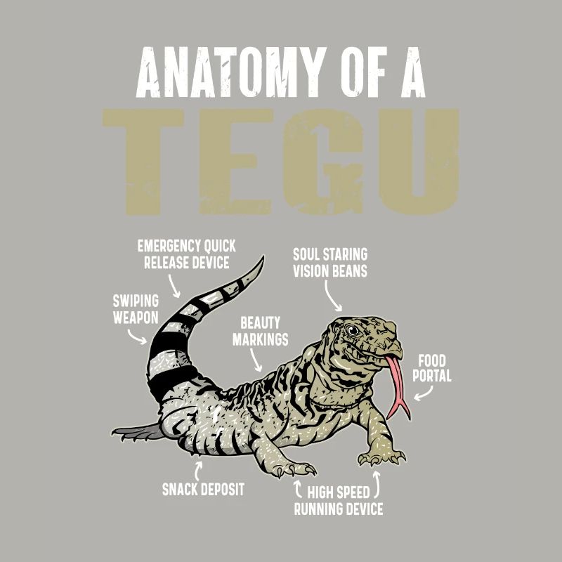 Tegu Eidechse Reptil Herpetologe