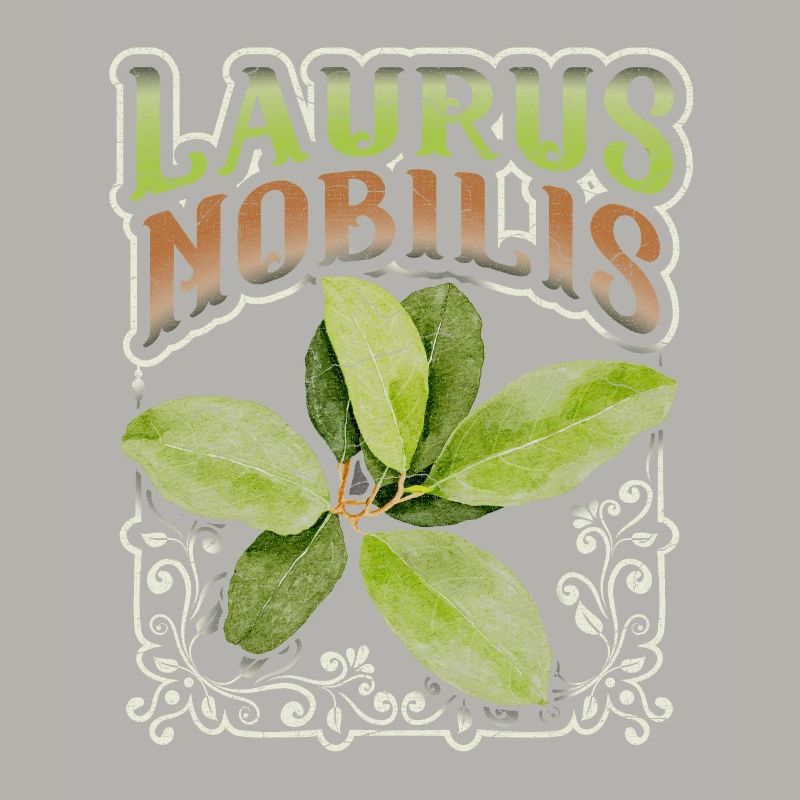 Lorbeer, Lorbeerblatt, Laurus-Nobilis