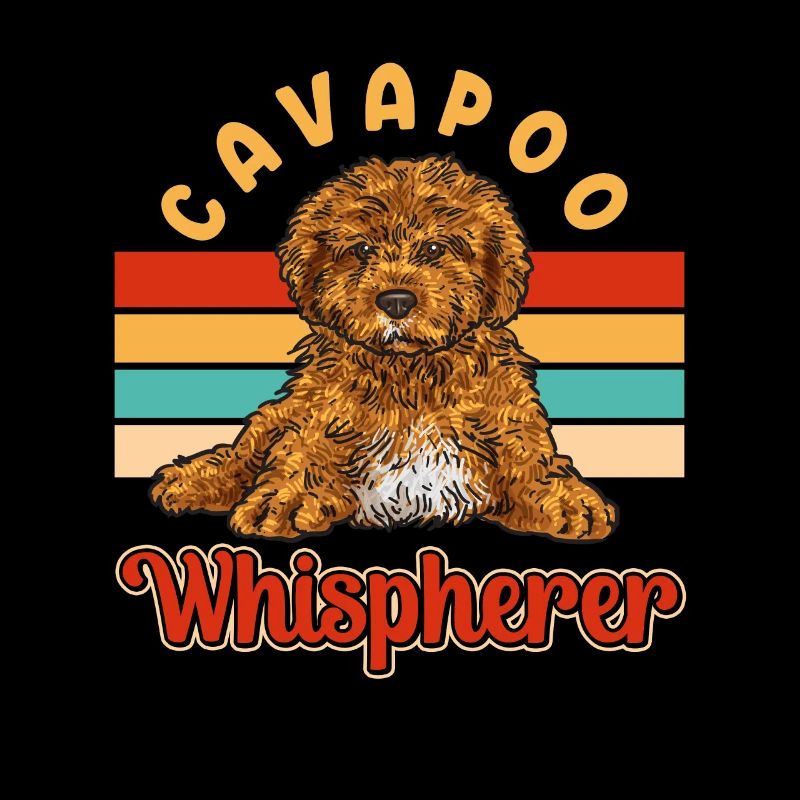 Cavapoo Cavoodle Capoodle Hund