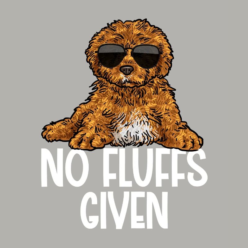 Cavapoo Cavoodle Capoodle Hund