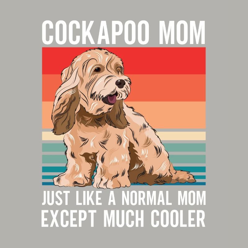 Cockapoo Hund