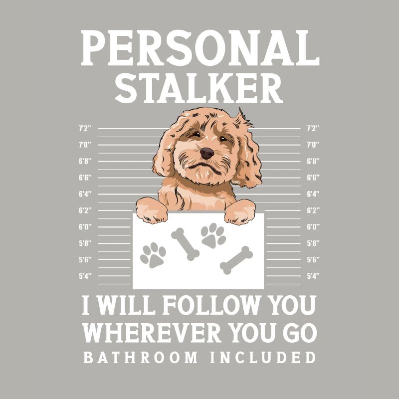 Cockapoo Dog