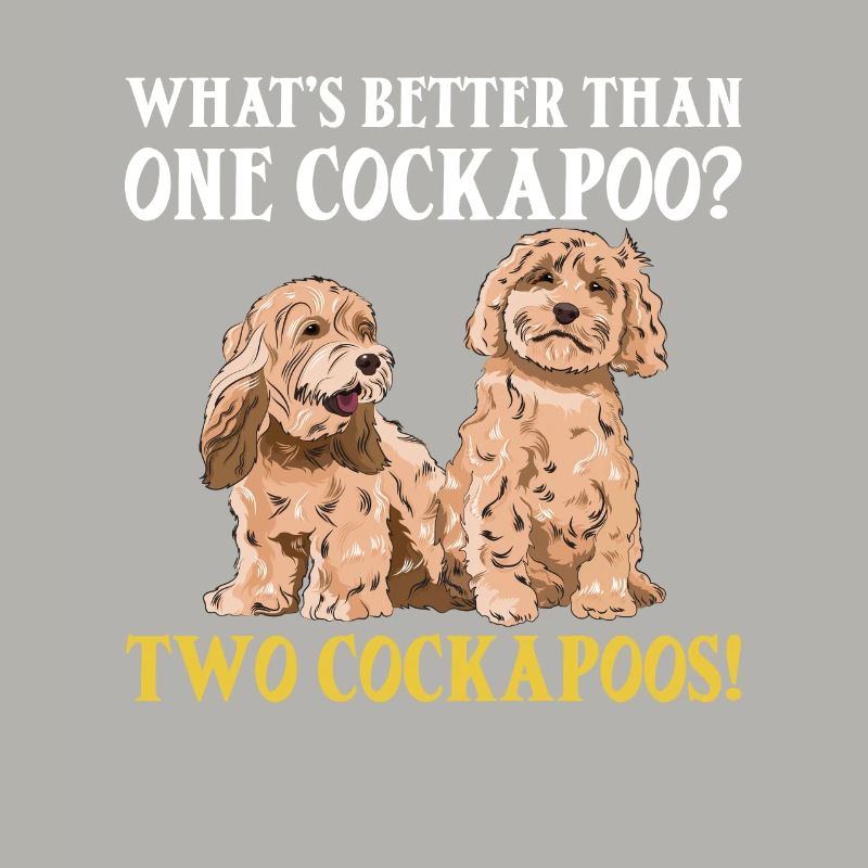 Cockapoo Dog