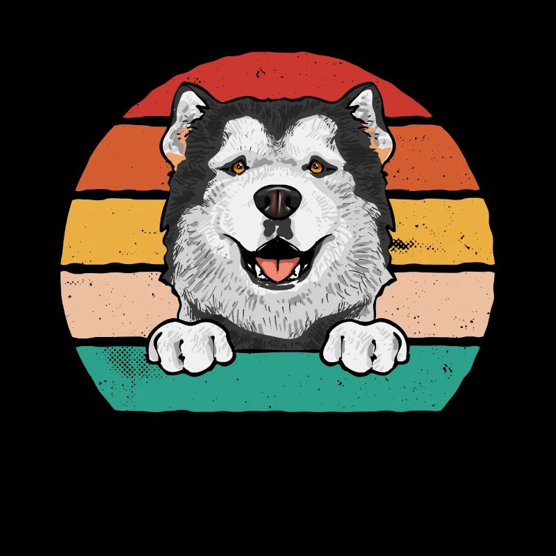 Alaskan Malamute Dog