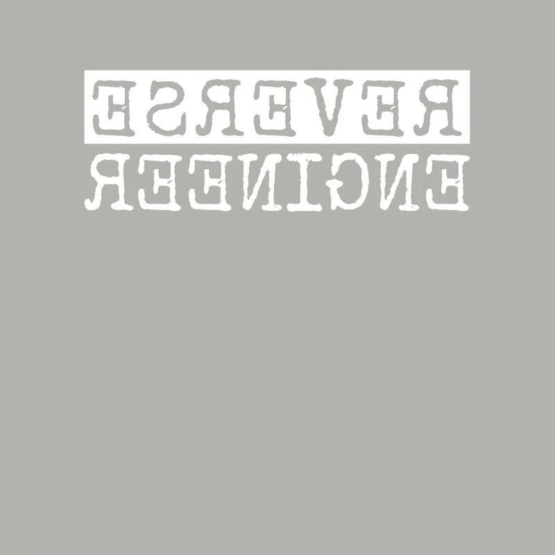 Reverse Engineer Softwareingenieur Developer