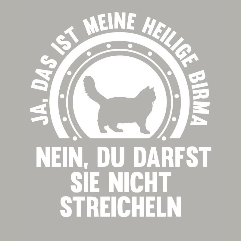 Heilige Birma Katze