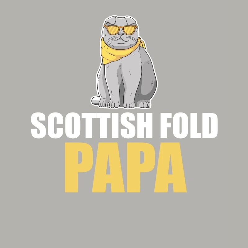 Scottish Fold Katze