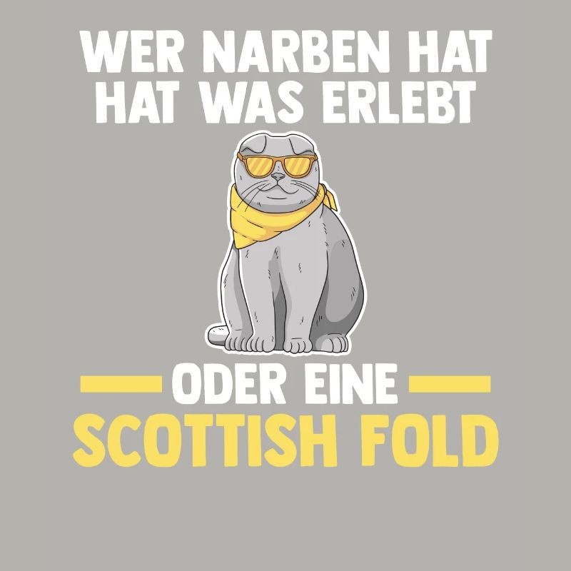 Scottish Fold Katze