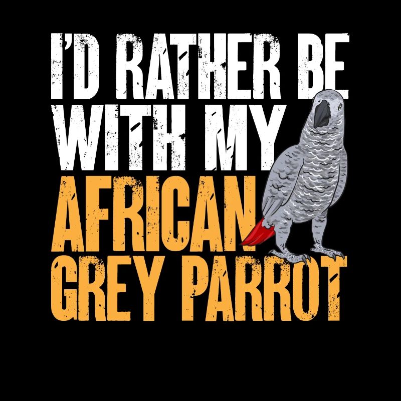 Graupapagei African Grey Parrot Papagei