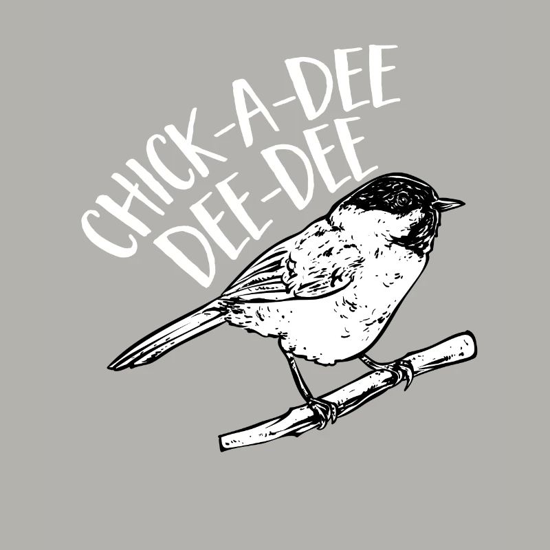 Bird Chickadee Bird Watching
