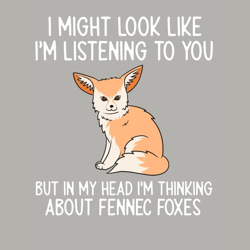 Fennek Fox Fennec Fox Desert Fox