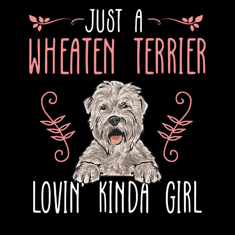 Terrier irlandais à enrobage doux