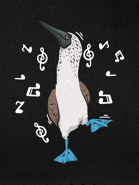 Blaufußtölpel Blue-footed Booby Seevogel