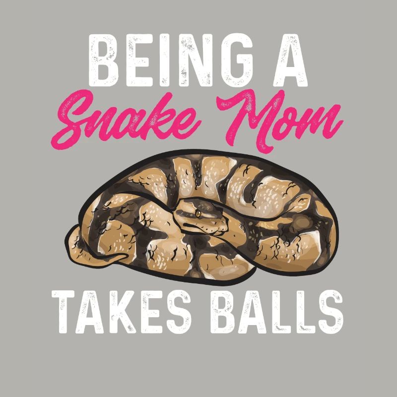 Ball Python Schlange Königspython