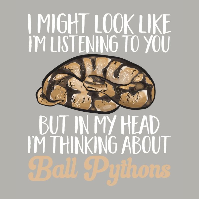 Ball Python Snake King Python