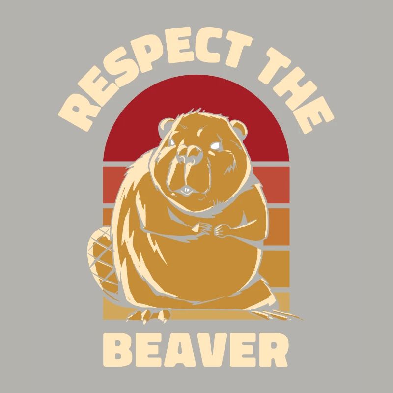 Respect Le Castor Eurasien Castor Canadensis