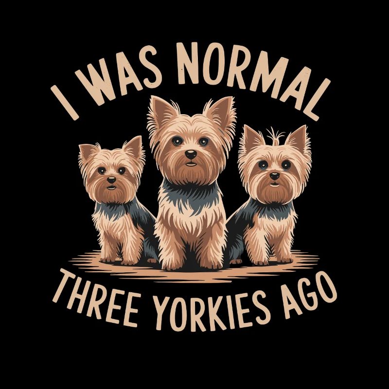 J’étais normal devant trois Yorkies Yorkshire Terrier