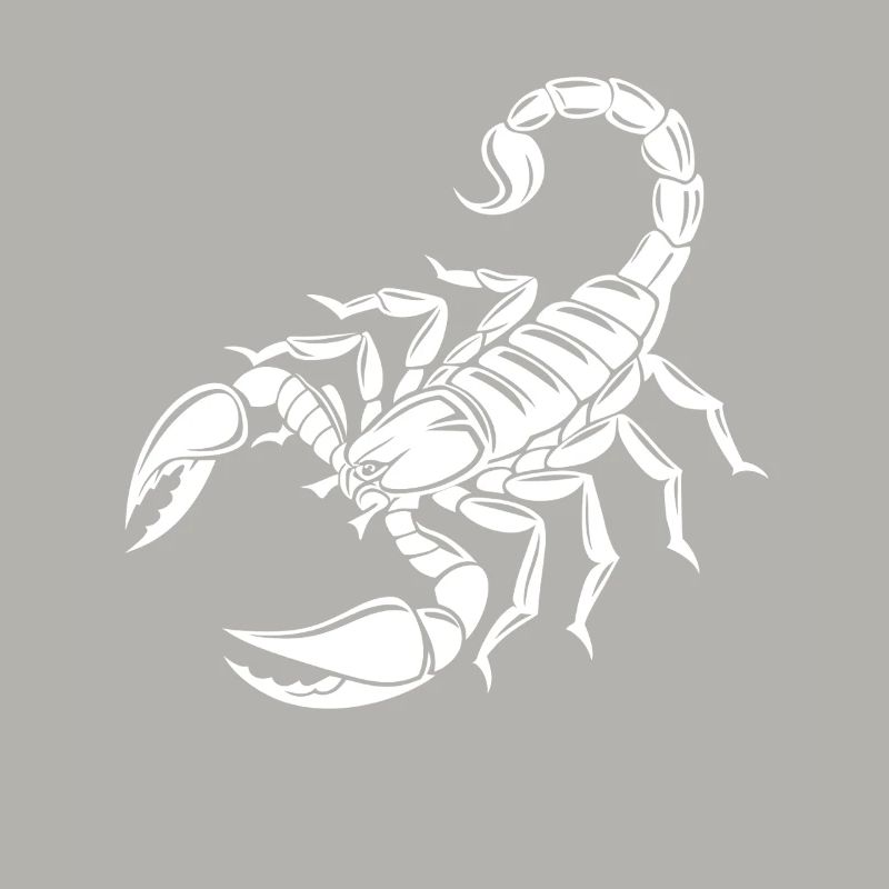 Skorpion - Giftstachel - Artenschutz - Lebensraum