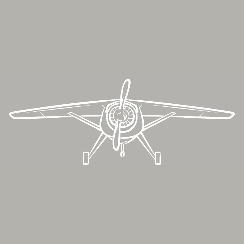 Modèle d’avion télécommandé
