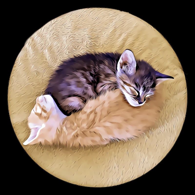 Two sleeping tabby kittens holding each other