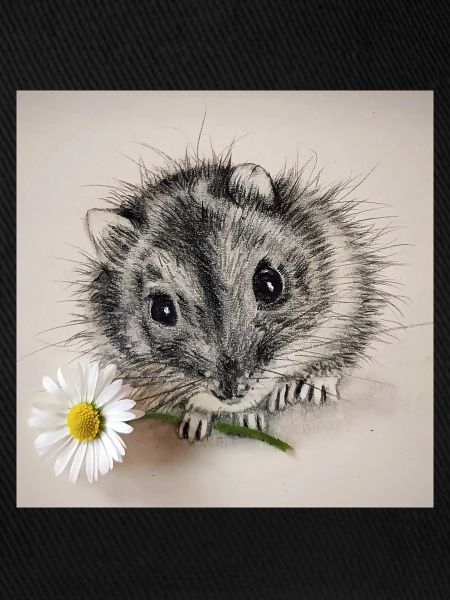 Hamster