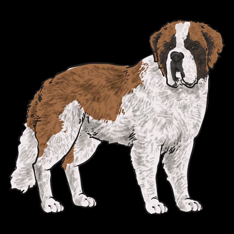 Saint-Bernard Chien Saint-Bernard