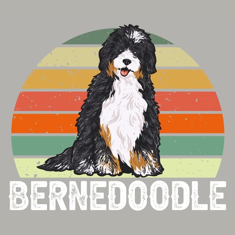 Bernedoodle Hund