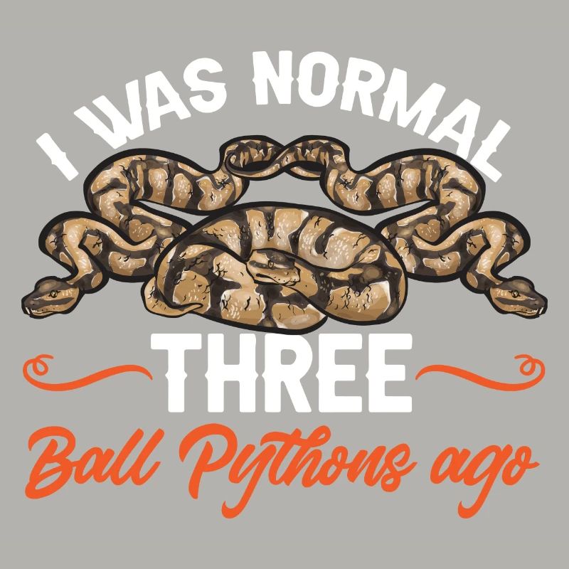Ball Python Snake King Python