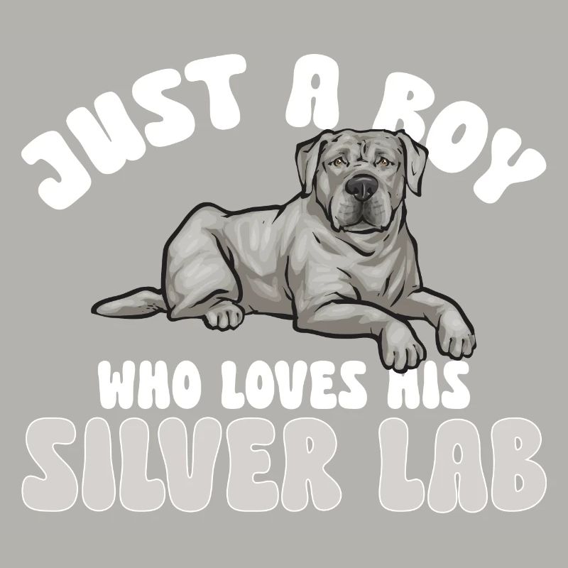 Silver Labrador Retriever Silver Lab