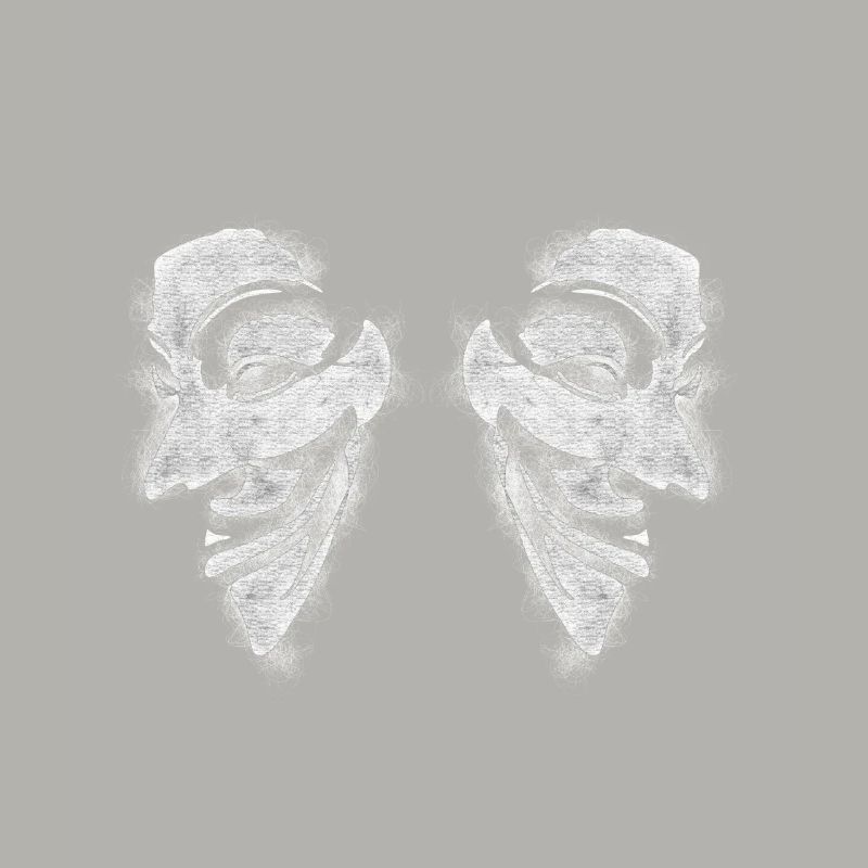 Anonymous v comme vendetta Double Head