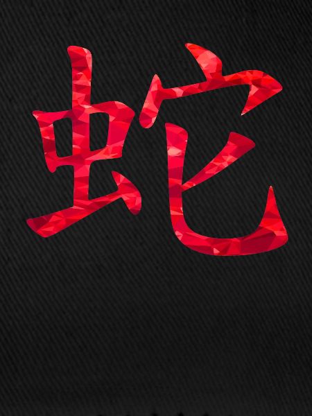 Chinesisch Schlange