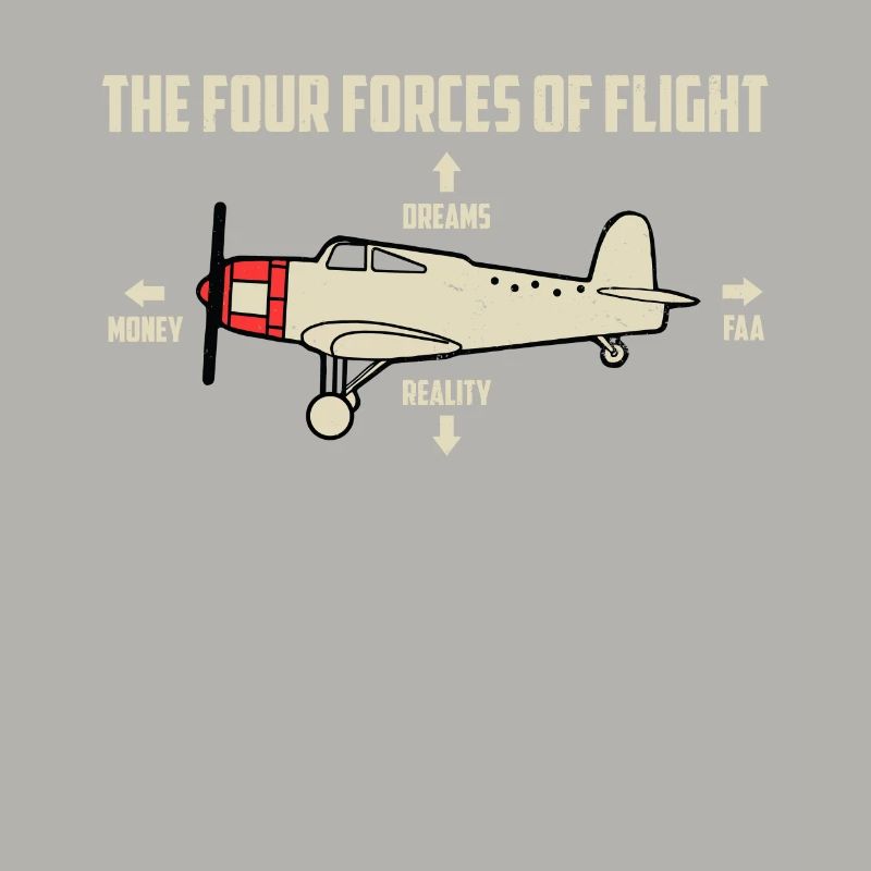 Flugzeug