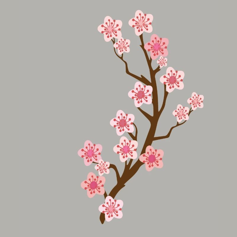 Cherry Blossom