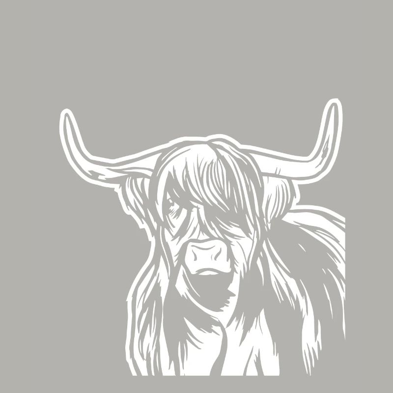 Great Highland Cattle beef
