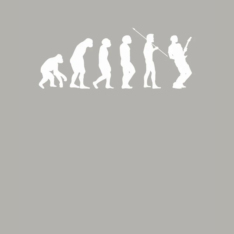 Guitare Guitar evolution Evolution