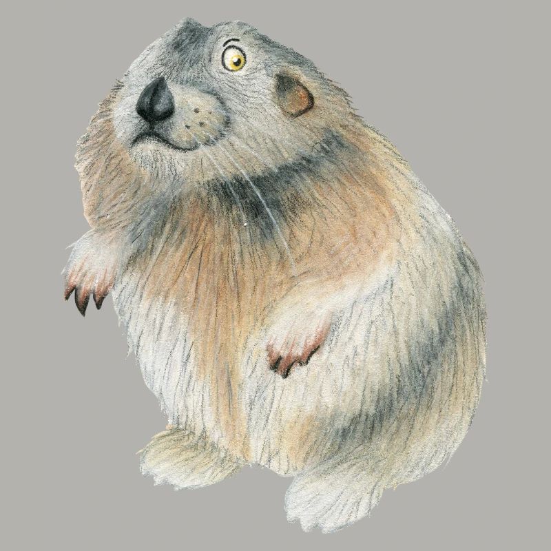 lemming