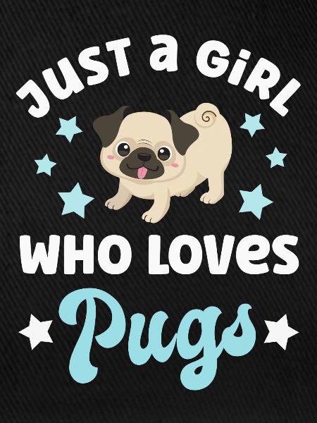 Hund Mops Möpse