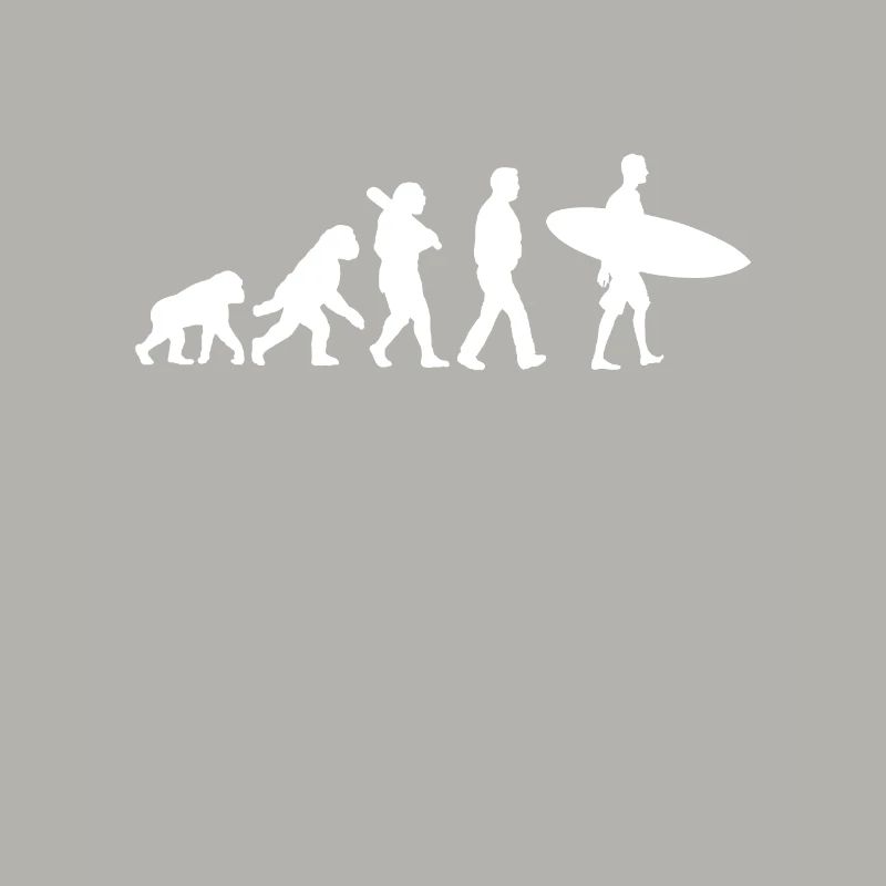 Evolution des Surfens