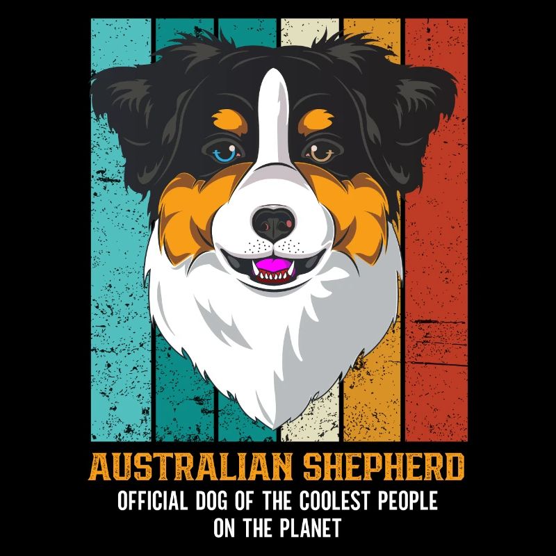 Australian Shepherd Aussie Dad Aussie Mom