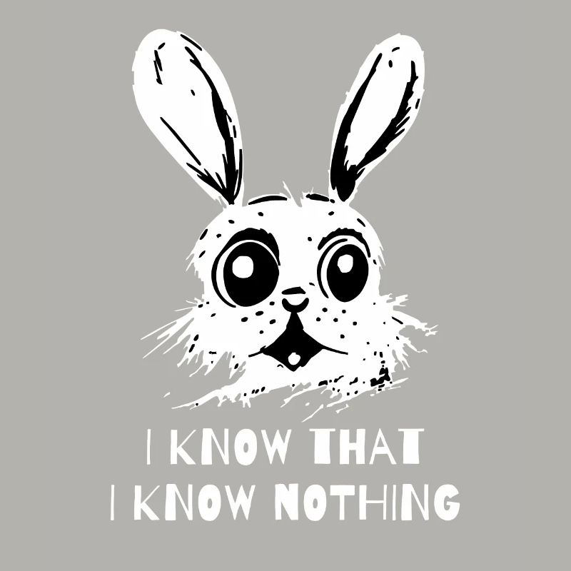 I Know That I Know Nothing - A Wise Rabbit