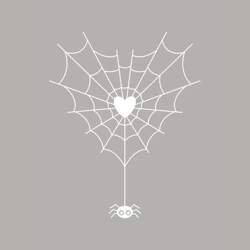 Spinne im Spinnennetz