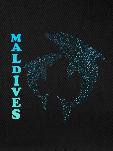 Malediven Delfine Maldives Dolphins